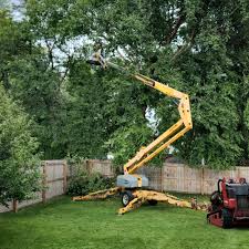 Best Leaf Removal  in Yankton, SD